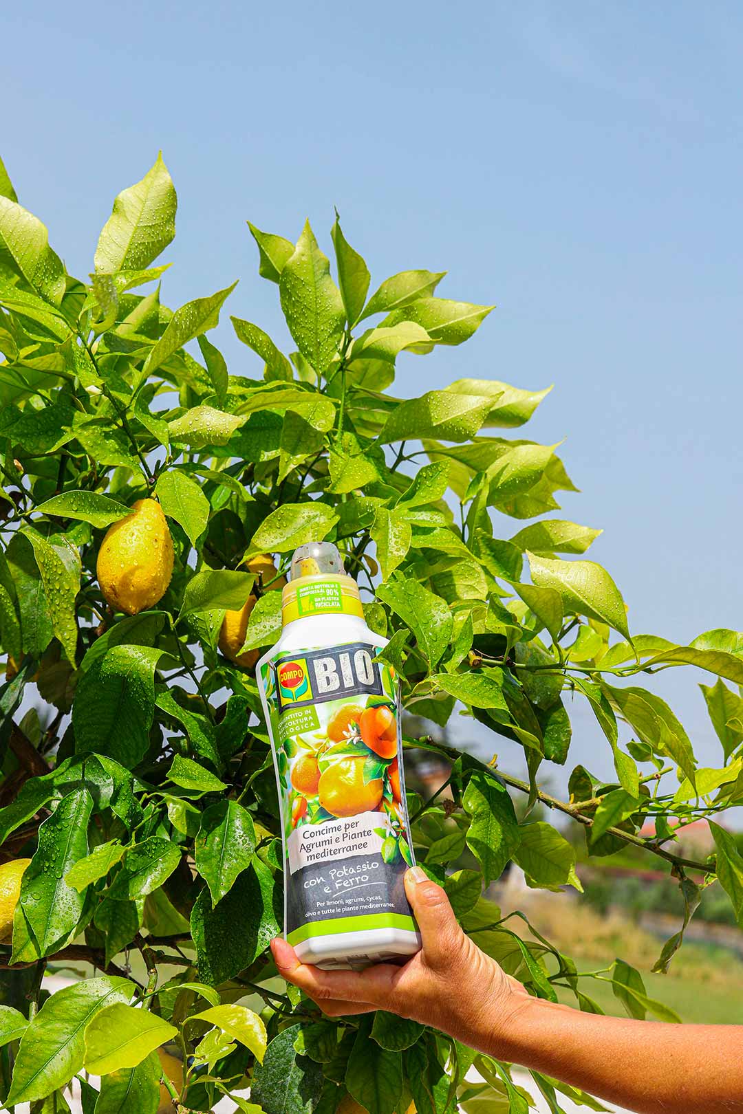 concime bio limoni