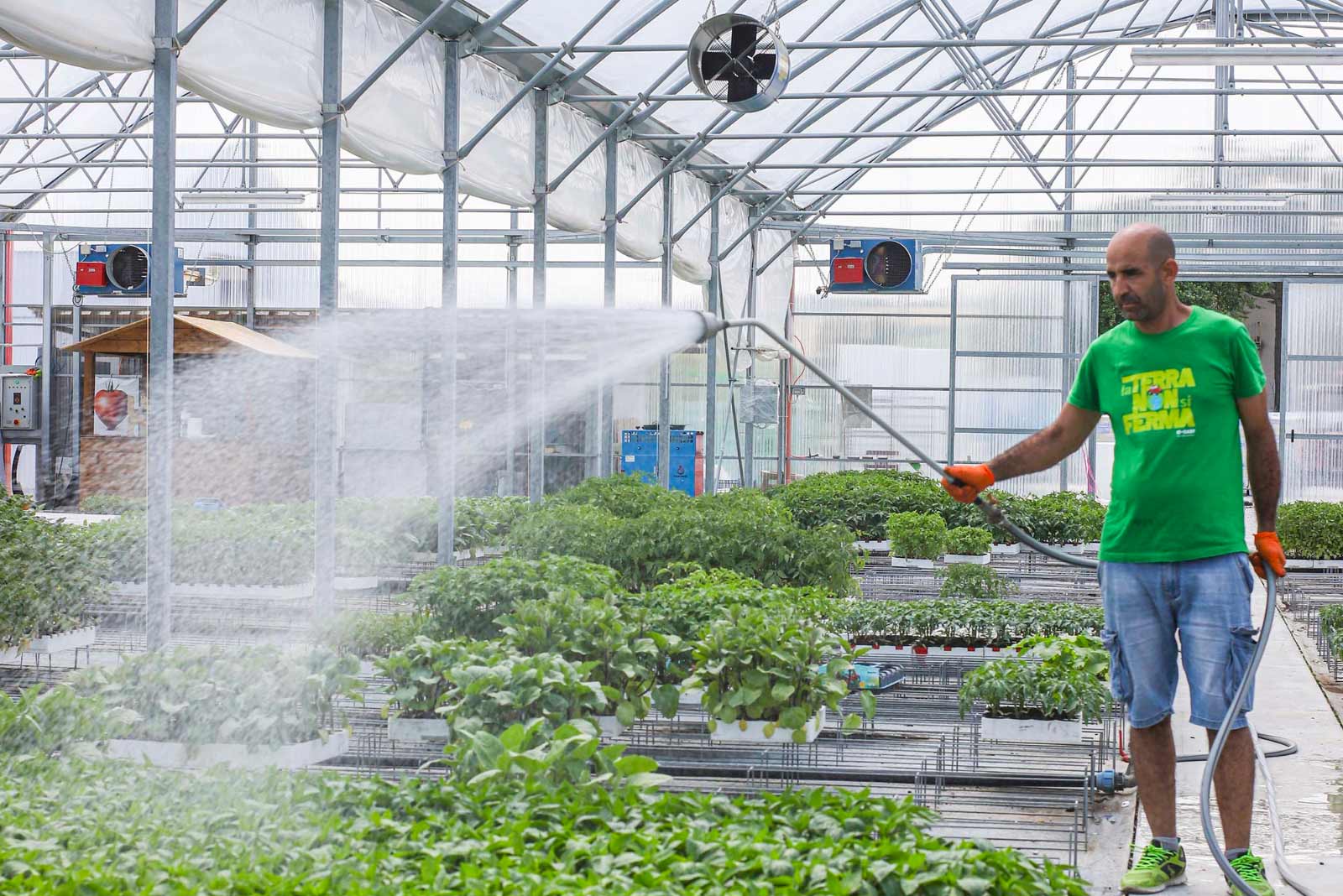 Hortus Service chi siamo